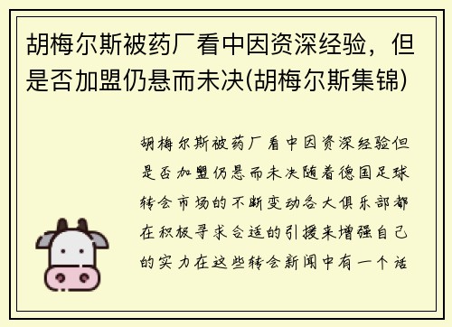 胡梅尔斯被药厂看中因资深经验，但是否加盟仍悬而未决(胡梅尔斯集锦)