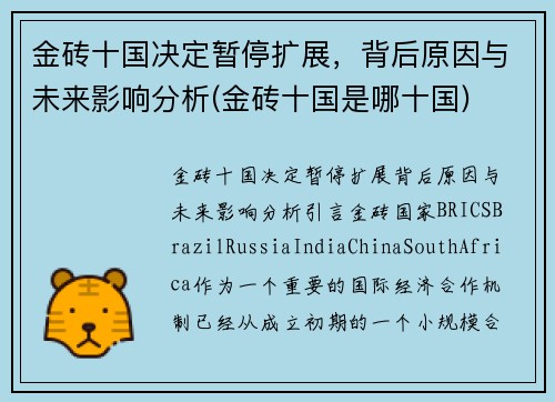 金砖十国决定暂停扩展，背后原因与未来影响分析(金砖十国是哪十国)