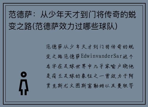 范德萨：从少年天才到门将传奇的蜕变之路(范德萨效力过哪些球队)